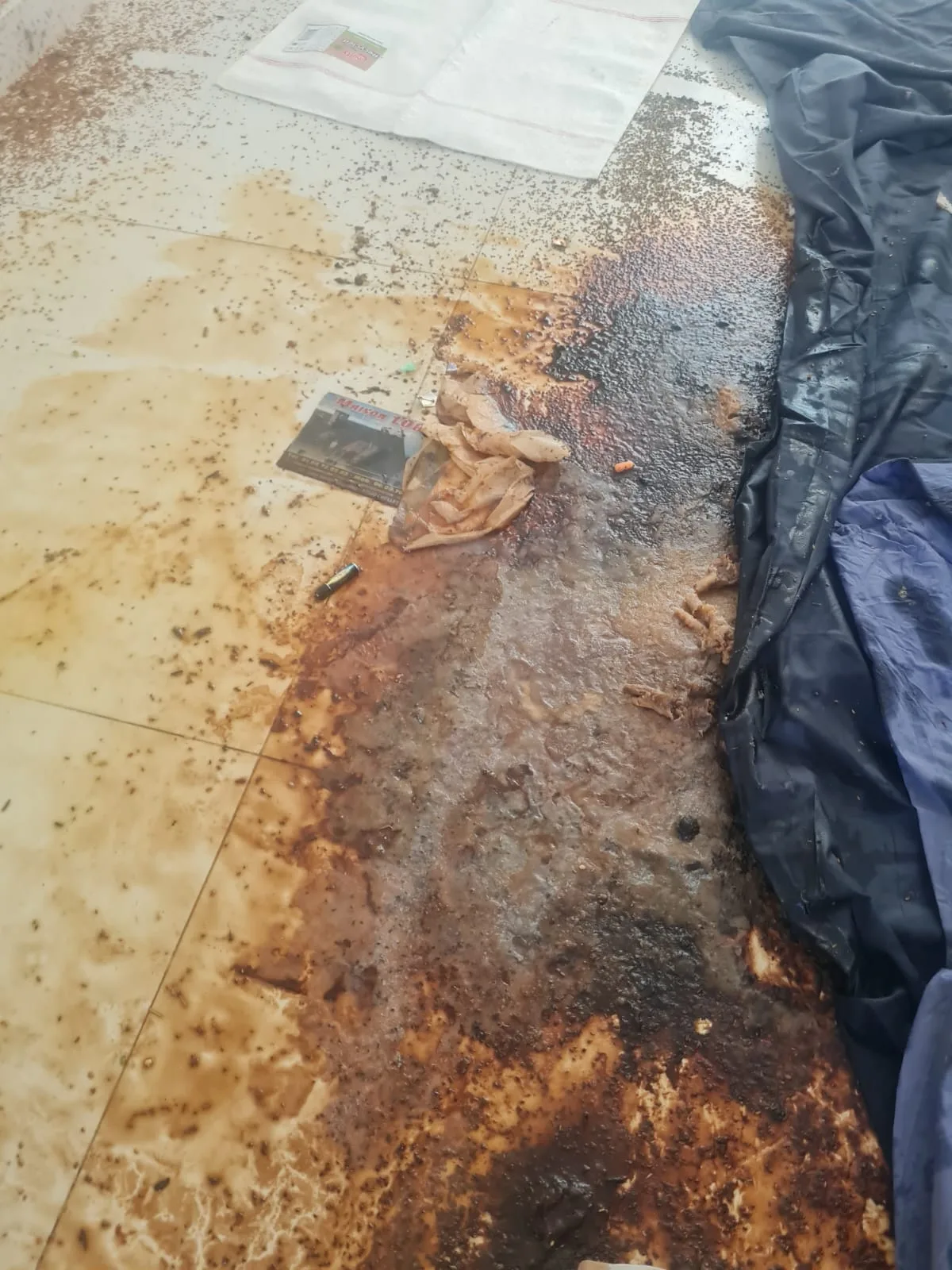 Que faire si, même après nettoyage, la famille ne se sent pas prête à revenir habiter sur place ?L’accompagnement humain et durable de SOS DC à Levallois-Perret et dans les villes environnantes Que faire si, même après nettoyage, la famille ne se sent pas prête à revenir habiter sur place ?L’accompagnement humain et durable de SOS DC à Levallois-Perret et dans les villes environnantes